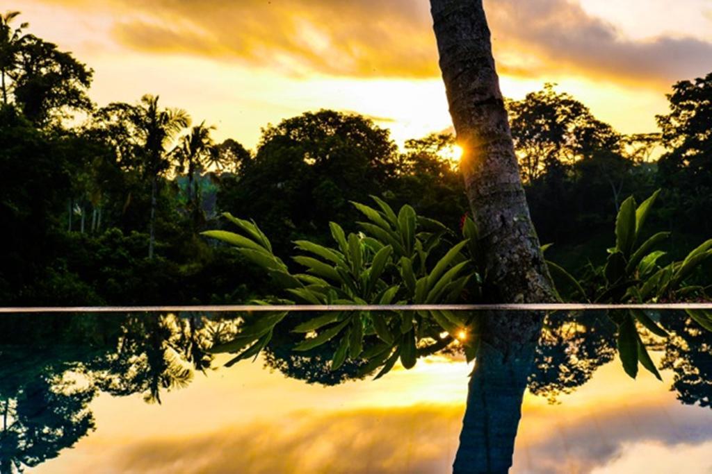Kupu Kupu Private Villa Ubud  Luaran gambar